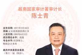 图表新闻：陈士青被任命为越南国家审计署审计长