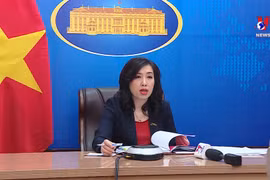 越南外交部发声：尽快做好在乌公民保护工作