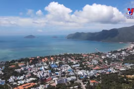 昆岛边防哨所——海岛上的“绿色篱笆”