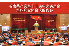 图表新闻：越共第十三届中央委员会第四次全体会议的内容