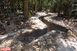 组图：古芝地道申请成为世界遗产 