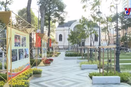 庆祝九·二国庆节的图片展在胡志明市举行