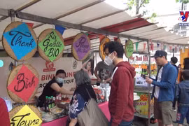 第二届法国越南文化节将于7月中旬举行