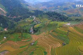木江界——国际游客赴越旅游的绝佳目的地