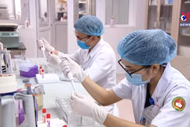 1000名志愿者参加Nano Covax疫苗三期试验
