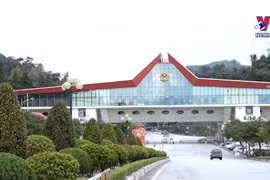 加大口岸数字技术应用 营造顺畅通关环境
