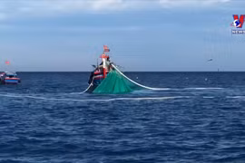广义省李山岛渔民坚持靠海守海