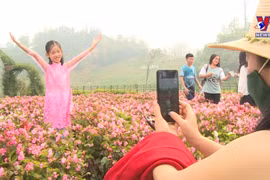 老街省旅游业呈现疫后强劲复苏势头