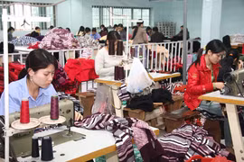 附图。图片来源：hanoimoi.com.vn