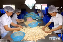 越南企业需抓住机遇顺利进军美国市场