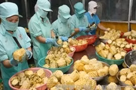JETRO承诺协助越南扩大农产品对日本出口