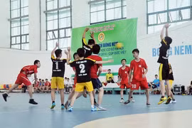 附图（图片来源：越南人民报）