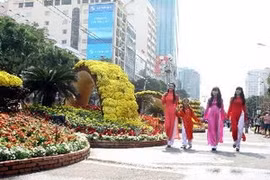 阮慧花街节