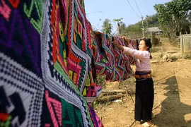 附图（图源：越南民族报）
