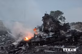 马航MH17客机坠毁现场 （图片来源：AFP）