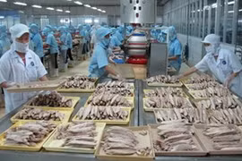 推动越南农产品和水产品对中国出口