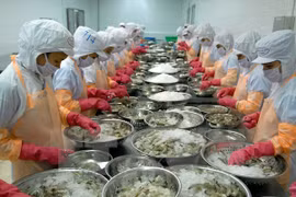 越南对韩国的水产品出口额达5.99亿美元