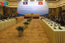 附图（图源：VOV)