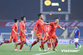 2014年东南亚足球锦标赛热身赛：越南队以3比1击败马来西亚队