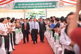 图片来源于越南橡胶杂志网站