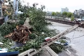 8号台风（又称：山神台风）