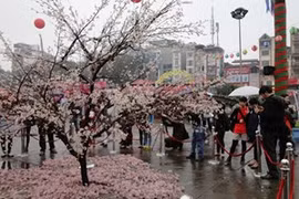 附图