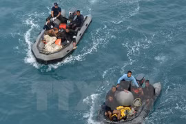 印尼海军潜水队参与QZ8501航班机尾搜寻行动
