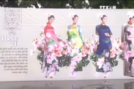 首都河内百姓对越南奥黛的热爱