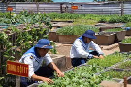 波涛汹涌的长沙换发新活力