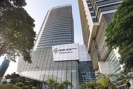 将越南电力集团发展成为实力强大且可持续发展的经济集团