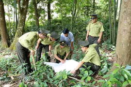 📝时评：处置涉野生动物违法违规行为：由人民举报的违规行为处置工作效率