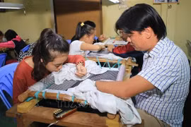 越南残疾人权利日益得到保障 