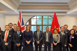 将越英战略伙伴关系引向深入