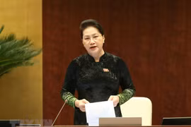 越南第十四届国会第十次会议：质询和询问活动涉及多项重要内容