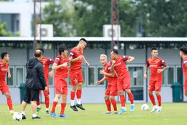 越南男足队赛前进行最后一场训练（组图）