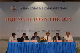 2019年越南湄公河委员会第一次全体会议在前江省召开