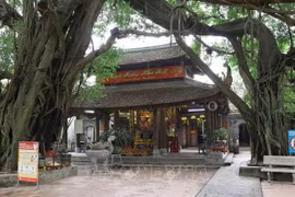 越南劝导宗教界暂停组织人员密集活动
