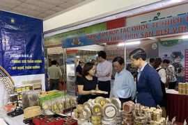 促进河内市与乂安省企业对接寻找商业机会