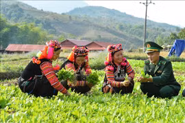 多措并举改善少数民族地区贫困群众的生活条件 