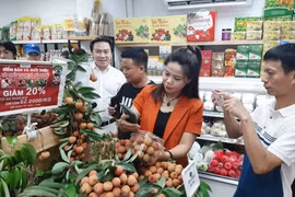 越南的蓬勃增长为日本带来许多机遇