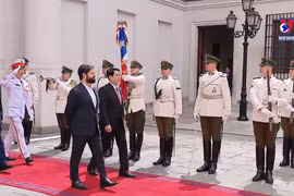 越南国家主席梁强与智利总统博里奇举行会谈