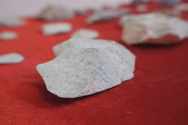 在太原省天造石屋顶洞穴遗址中发现许多具有科学价值的文物