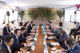 越南政府总理与巴西总统举行会谈：将关系提升为战略伙伴关系