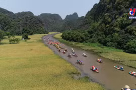 宁平省：充分发挥遗产资源 促进地方经济发展