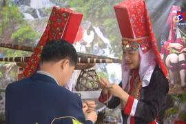 广宁省大力推动社区旅游发展