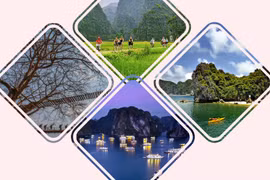 越南旅游行程中一定要尝试的4项有趣体验