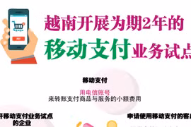图表新闻：越南开展为期2年的移动支付业务试点