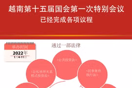 图表新闻：越南第十五届国会第一次特别会议已经完成各项议程