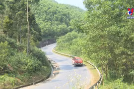承天顺化省阿雷县努力挖掘社区旅游发展潜力