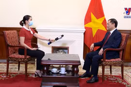 海外越南人侨务工作是越南党和国家外交政策支柱